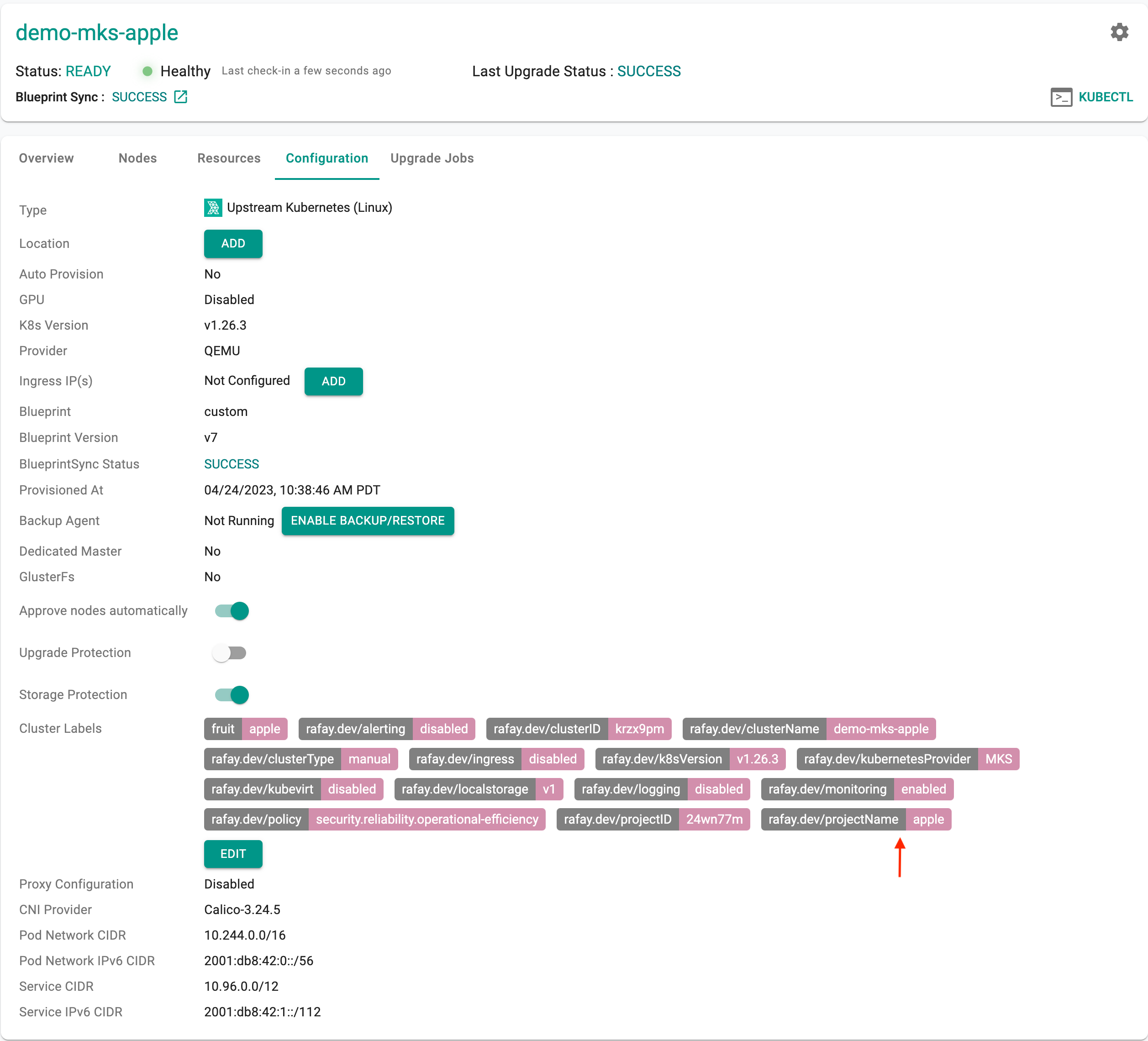 Cluster Label in Cluster Metadata