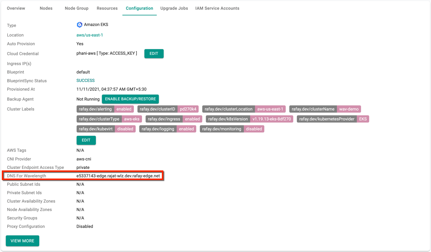 Cluster Level DNS